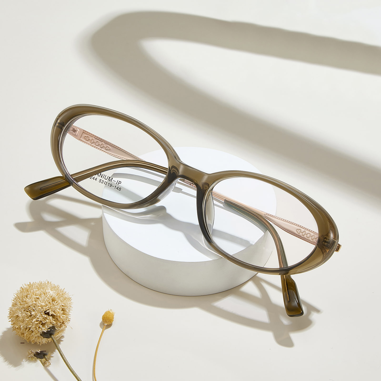 M8244 ovale, korrosjonsbestandige β titanbrille med bred kant